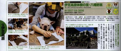 辰巳出版 ペットと遊ぶ伊豆 箱根 に掲載されました Br お客様の声 お知らせ 陶芸体験 八幡野窯 有限会社ハッピー 沖縄 伊豆 体験で旅をハッピーに